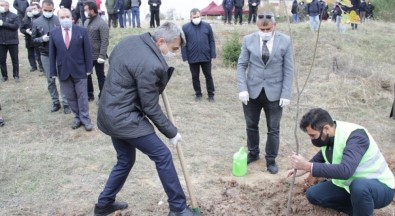 DPÜ'de 2 Bin 53 Fidan Hatay İçin Toprakla Buluştu