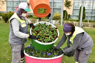 Tepebaşı Çiçekler İle Güzelleşiyor