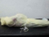 KIZ ÇOCUĞU - Esed rejimi yine çocuk öldürdü!