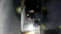 İtfaiye Ekibi, Dumandan Zehirlenen Tavşana Kalp Masajı Yaptı