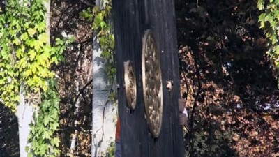 Kırgızistan Cumhurbaşkanlığı Sarayının Dış Cephesindeki Beton Ve Demir Duvarlar Kaldırıldı