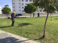 Didim'de Parkların Bakımı Devam Ediyor