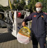 Hasarlı Binadaki Muhabbet Kuşunu İtfaiye Ekipleri Kurtardı