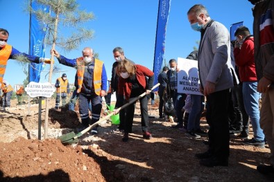 Huzurlu Nesiller İçin Şehir Yeşillendiriliyor