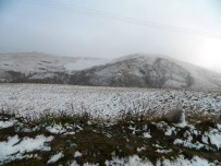 Kar Posof'ta Köylere Kadar İndi Haberi