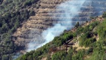 Ödemiş'te Ormanlık Alanda Çıkan Yangın Büyümeden Söndürüldü Haberi