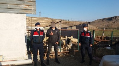 Ankara'da Kaybolan Çoban Ve Koyunlar Drone İle Bulundu