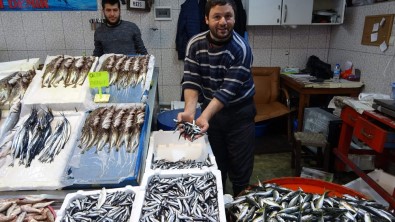 Balık Fiyatlarının Ateşi Düşmedi