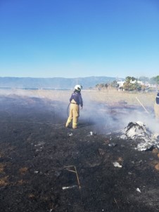 Burhaniye'de Ot Yangınları Bitmiyor