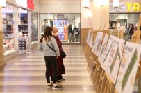 Mahallelerine 80 Günde Yapılacak Parkın Projesini Görüp Beğendiler, Tam Not Verdiler