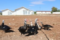 Mezitli Belediyesinin 'Mutlu Yaşam Köyü' Projesinde Sona Gelindi Haberi