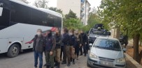Şırnak'ta Terör Örgütü PKK/KCK Operasyonu 11 Gözaltı Haberi