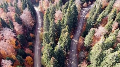 Bolu'da Yaylacılar 'Eve Dönüş' Yolunda