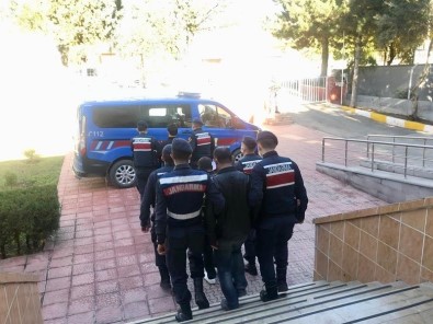 Jandarmadan Terör Propagansı Yapanlara Operasyon