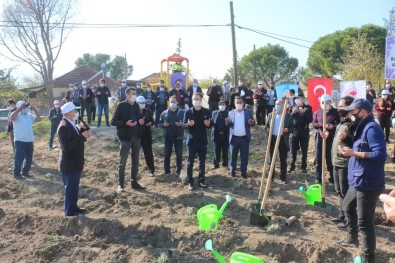 Karpuzlu Gölcük'te Lavanta Fidanları Dualarla Toprakla Buluşturuldu