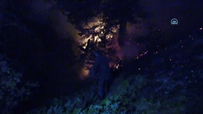 Kastamonu'daki Orman Yangını Kontrol Altına Alındı