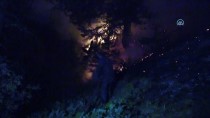 Kastamonu'daki Orman Yangını Kontrol Altına Alındı Haberi