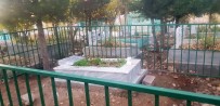 Mezar Taşlarını Söküp Çeşmeleri Tahrip Ettiler Haberi