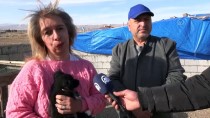 Sivas'ta Buzlanma Nedeniyle Meydana Gelen Zincirleme Kazada 10 Araç Hasar Gördü Haberi