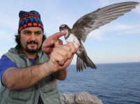 Akkarınlı Ebabil'den 58 Saatte 3 Bin Kilometrelik Rekor Uçuş