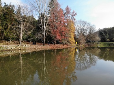 Atatürk Arboretumu'nda Sonbahar Manzarası