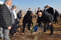 BATÜ'de 10 Bin Fidanlık Şehit Yasin Börü Ormanı Oluşturuldu