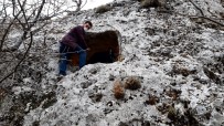 Dicle'de Keşfedilen Sahabe Tepesi, Arkeolojik Sit Alanı Olarak Tescillendi Haberi