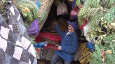 Bu Çiftin Hayatı Görenleri Şaşırtıyor