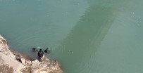 Elazığ'dan Gelen Dalgıç Ekibi Fırat Nehri'nde Arama Yaptı Haberi
