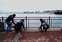 Kuşadası'nda Olta Balıkçılarına Korona Virüs Denetimi