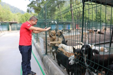 Marmaris'te Can Dostlar Unutulmuyor