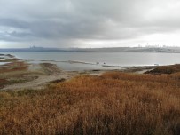 (Özel) Suların Çekildiği Büyükçekmece Barajı'nda Korkutan Görüntü