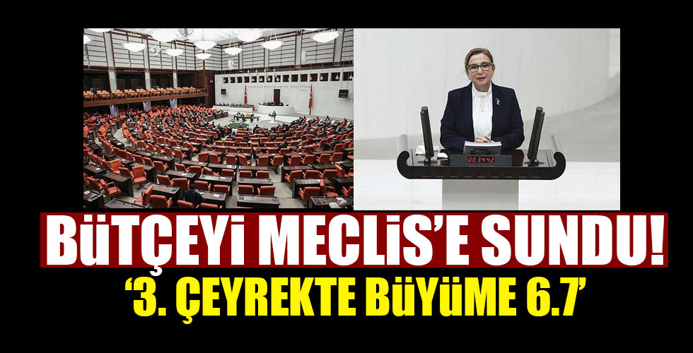 Ticaret Bakanı Pekcan, bütçeyi Meclis'e sundu!