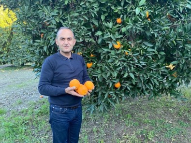 TİGEM'in Narenciye Ürünleri Yurt Dışına İhraç Ediliyor