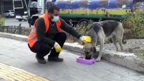 Diyarbakır'da Kısıtlamada 'Sokakların Sakinleri' Unutulmadı