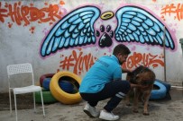 Konak'ta Can Dostlar İçin STK'larla İşbirliğine Devam