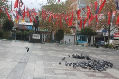 Manyas'ta Meydanlar Kuşlara Kaldı