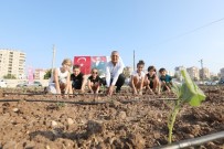 Tarhan Açıklaması 'Tarımsal Üretimi Kentin Merkezine Taşıdık' Haberi