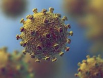 İSVIÇRE - DSÖ’den koronavirüsün yeni türü hakkında açıklama!