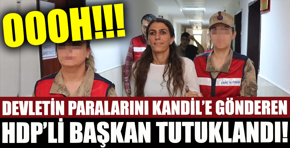 HDP'li eski Kocaköy Belediye Başkanı Rojda Nazlier'in cezası belli oldu!