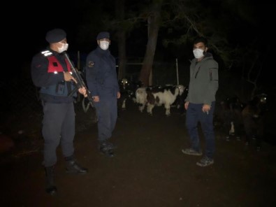 Kaybolan 30 Küçükbaş Hayvan Sahibine Teslim Edildi