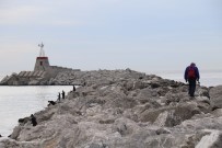 Kısıtlama Sonrası Amatör Balıkçılar Sahile Akın Etti