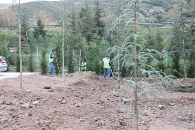 Körfez'de Yeşil Alanlar Arttırılıyor
