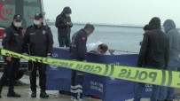Pendik'te Sahilde Denizden Erkek Cesedi Çıkartıldı Haberi