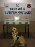 Mardin'de Çuval İçerisine Gizlenmiş Kaçak Sigara Ele Geçirildi Haberi
