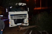 Samsun'da Kontrolden Çıkan Tır Ağaca Çarptı