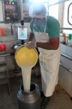 Üretici Açıklanan Çiğ Süt Fiyatlarını Olumlu Karşıladı Haberi