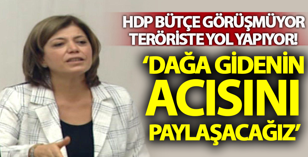 Meral Danış Beştaş: PKK'lıların cenazesine gitmeye devam edeceğiz!