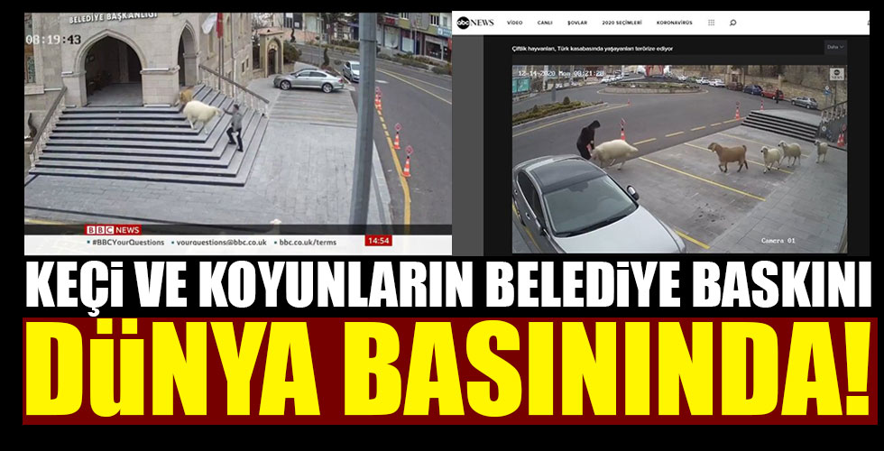 Nevşehir Belediyesi'ni basan koyun çetesi, dünya basınında!
