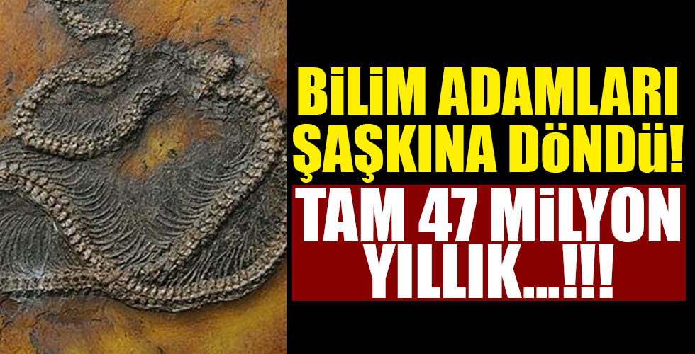 Tam 47 milyon yıllık! Bilim insanlarından inanılmaz keşif!